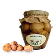 Crema Asparagi Terra Bella